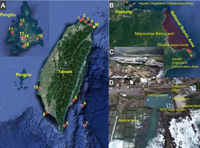 Development of integrated multitrophic aquaculture–based cage rearing system in an underutilized fishing port and its application in marine stock enhancement